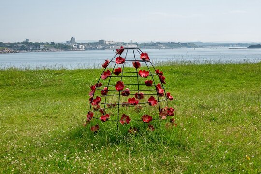 Torpoint England - June 24 2026: crinoline skirt of steel camellias by Kate Templar Plymouth University at Mount Edgcumbe 