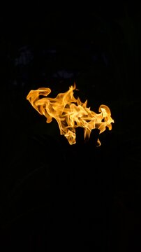 flames of a fire moving with the wind in the black of night