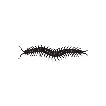 Black silhouette vector illustration of a multi-legged centipede or millipede-like insect isolated on a clean white background