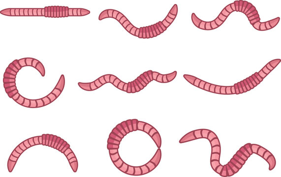 Pink Earthworms Seamless Texture Pattern Vector