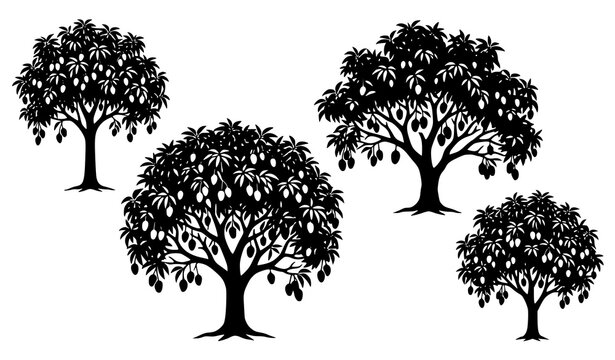 Black Mango Tree Silhouette Vector Tropical Fruit Collection