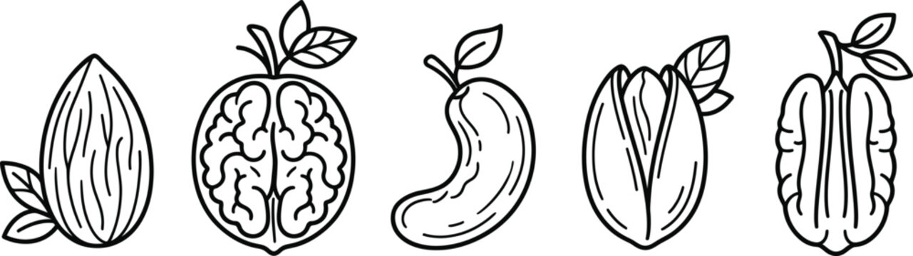 Minimalist Edible Nuts Icon Set, Almond Walnut Cashew Pistachio Pecan Line Art Outlines