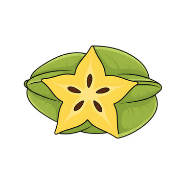 Fresh sliced starfruit showing distinctive five pointed star shape isolated on white background vector