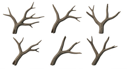 Fototapeta premium 3d rendered tree branches multiple angles of isolated weathered brown limbs with soft shadows ready for texture or graphic design usage