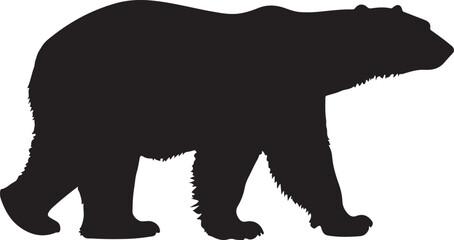 silhouette of a bear © Hasher