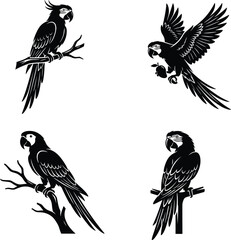 Fototapeta premium Parrot Silhouettes in Flying, Perching, and Feeding Poses