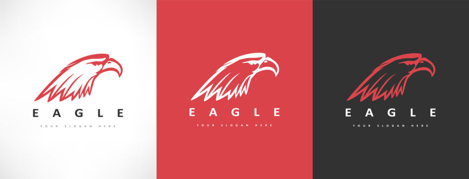 Eagle head logo bird vector. Animal design