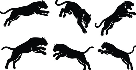 Black panther silhouette vector set featuring wild predatory big cat illustrations in aggressive jumping and pouncing action poses © MdAlom