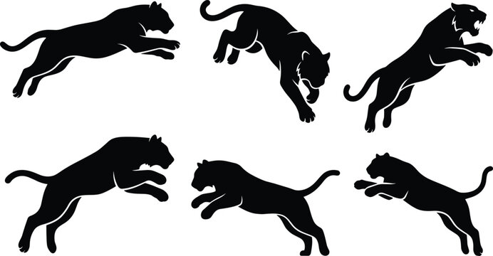 Black panther silhouette vector set featuring wild predatory big cat illustrations in aggressive jumping and pouncing action poses
