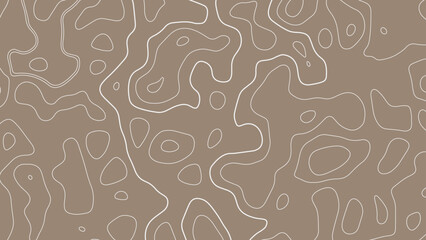 Abstract Topography line poster vector. The concept of a topographic contour geography scheme and the terrain path. Topographic map background with geographic grid for hiking  © Mst