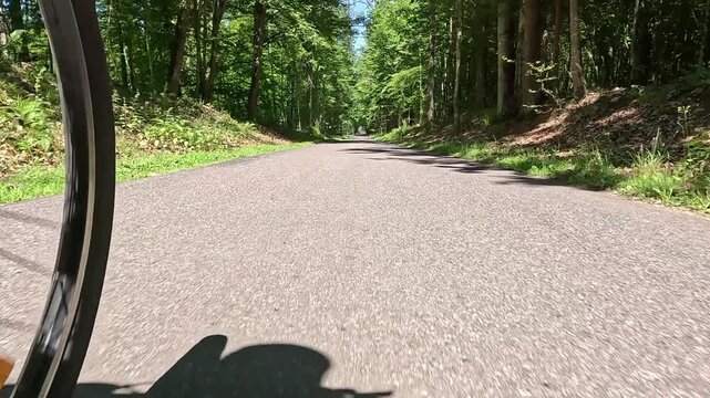 A bicycle wheel is visible in frame as the bike rides steadily forward along a curving forest road, sunlight breaking through the trees and shadows shifting on the path.