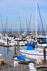 Fototapeta premium SAN FRANCISCO, USA - APRIL 8, 2014: Sailboats and yachts in Fisherman's Wharf marina in San Francisco, USA.