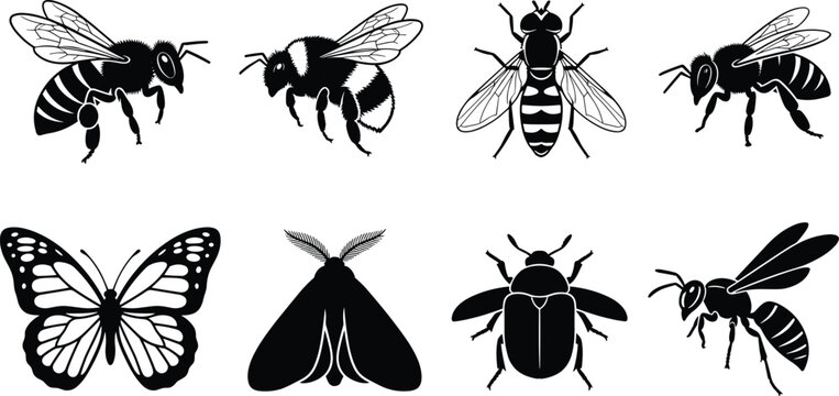 Pollinator Insects Silhouette Vector Set Featuring Honeybee Bumblebee Butterfly Wasp and Beetle Collection