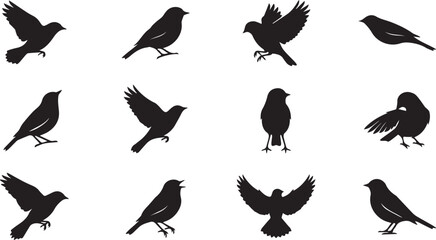 Fototapeta premium Collection of black bird silhouettes in various flying and perching poses
