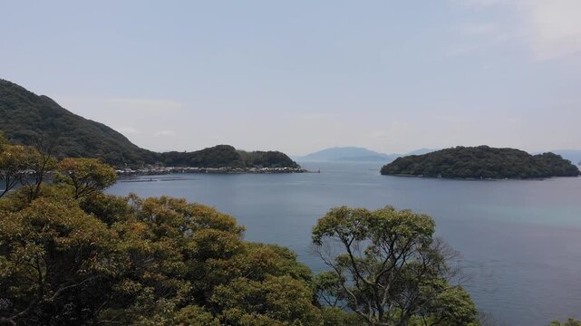 Aerial drone view ascending and revealing the serene Ine Bay and traditional Funaya boat houses through the trees in Kyoto, Japan