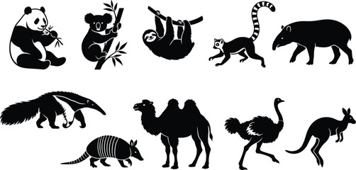 Silhouette collection of wild and exotic animals from different continents including panda, koala, sloth, and camel © Sabbir's World