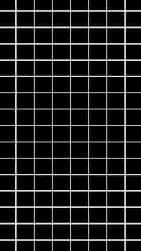 White grid lines on black background graph paper. White grid lines for architectural or technical drawing. White grid lines animation for mathematical coordinate system.