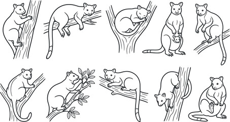 Minimalist tree kangaroo character sketches isolated on white background. © Peru