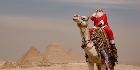 Fototapeta premium Camel rider dressed as Santa Claus throws head back in joyful belly laugh atop decorated dromedary with three ancient stone pyramids visible across
