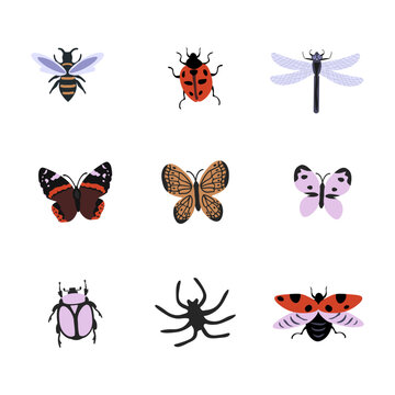 Isolated decorative vector insects set