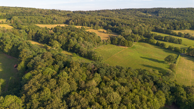 Aerial drone view of green meadows and mixed forest in the rural German countryside during golden summer light
