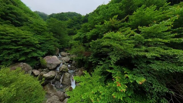 渓谷の流れ２
