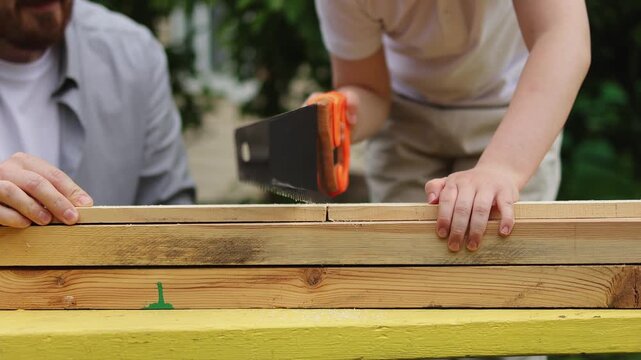 Wooden board. Birdhouse. Crafts. Paprika. Slow motion video. High quality 4k footage