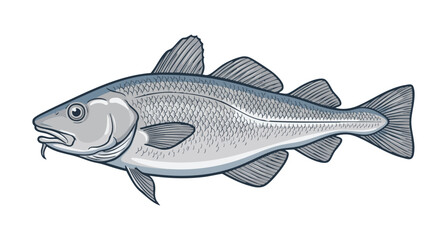 Detailed vector illustration of a cod fish on white background © colorshapppy