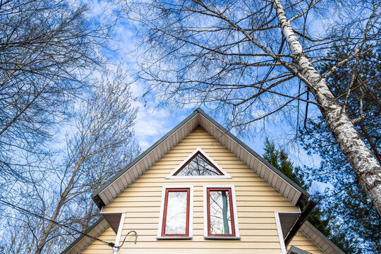 bare trees and attic of wooden country house