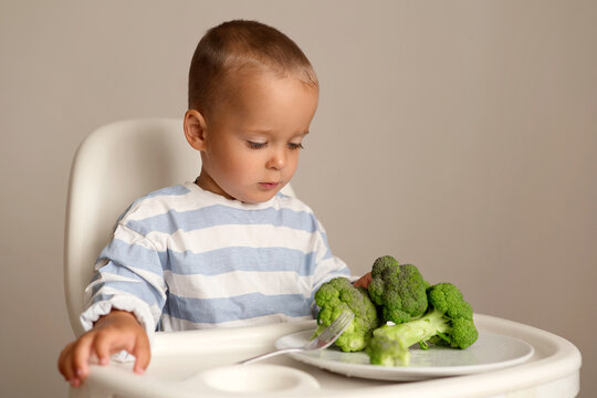 A young child sits in a high chair looking at a plate of broccoli. The child is focused on exploring the green vegetables in front of them