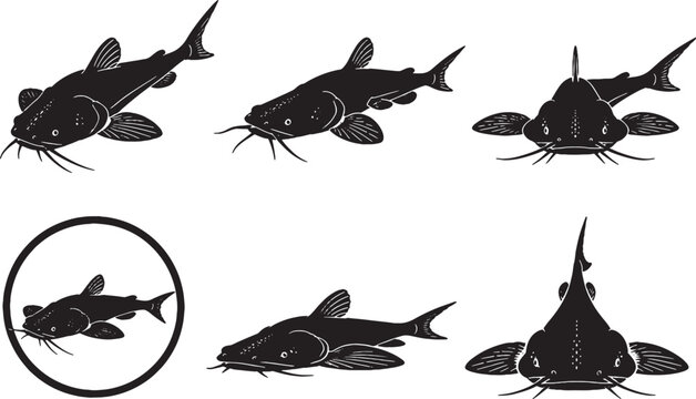 Freshwater Banjo Catfish Silhouette Icon Set Black Vector Bottom Dwelling Fish Collection Isolated on White Background