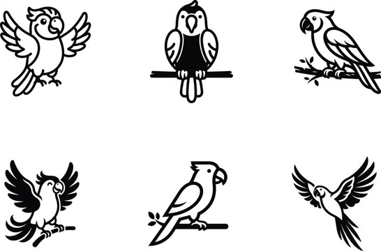 black and white illustration of various parrot and parakeet birds in different poses