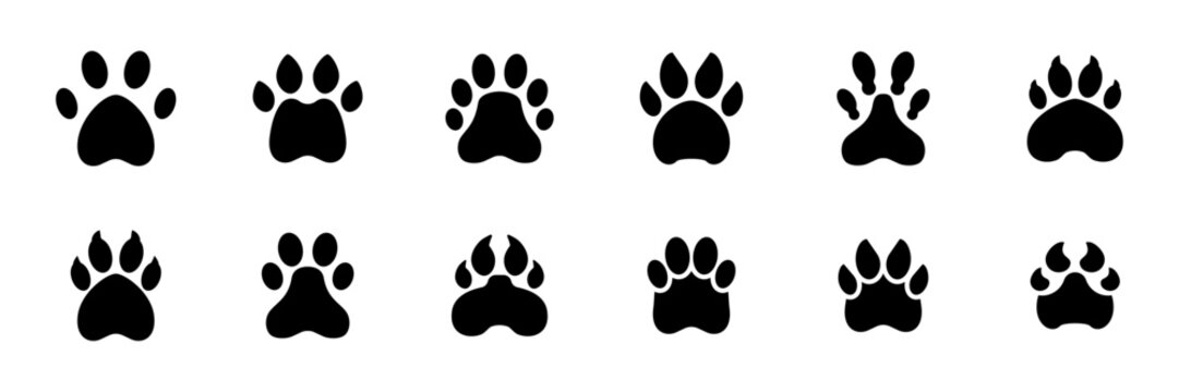 Conjunto de iconos de huellas de animales. Representa rastros de mascotas y fauna. Incluye diferentes tipos de pisadas. Ilustraci&oacute;n vectorial