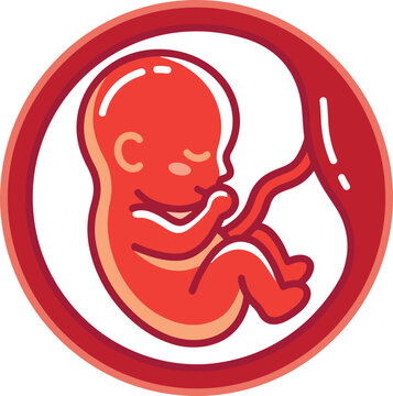 Fetus in the womb: a baby inside a woman's womb. graphics Pro Vector.