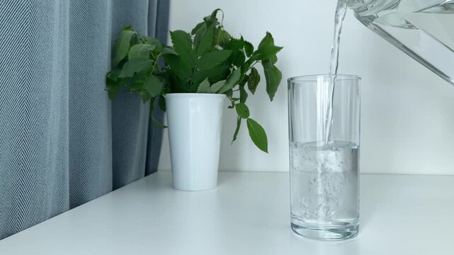 A woman pours clean drinking water from a carafe into a glass tumbler with a green plant on a white background. Freshwater scarcity, conscious attitude to consumption, conservation of water resources