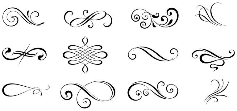 Collection of black flourishes and swirls on white background, scroll decorative ornate