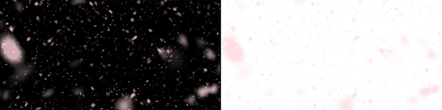 Soft pink floating light particles overlay on transparent background romantic magical bokeh effect for elegant design.