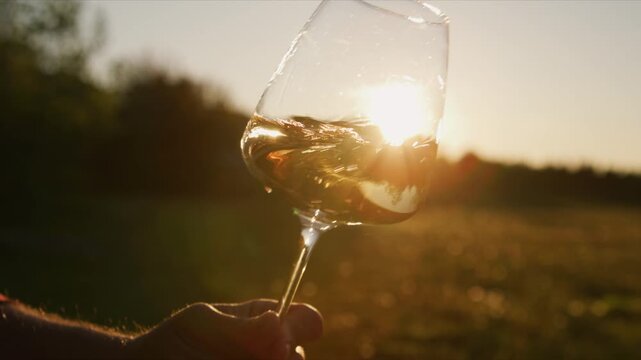 Savor the elegance of white wine as it pours into a glass, illuminated by the golden glow of the evening sun amidst a tranquil vineyard backdrop.