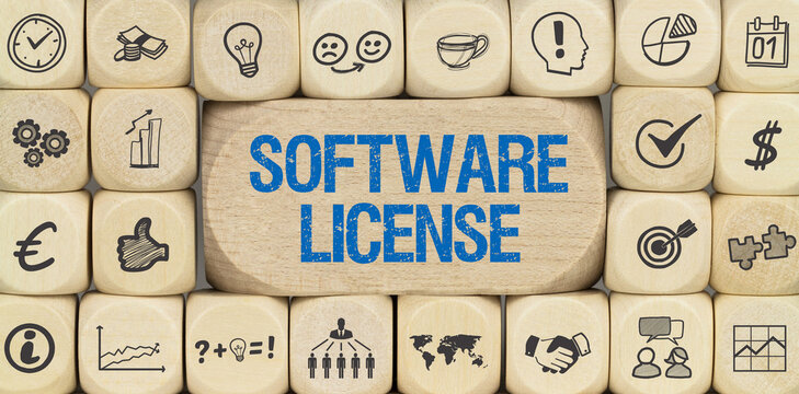 Software License	
