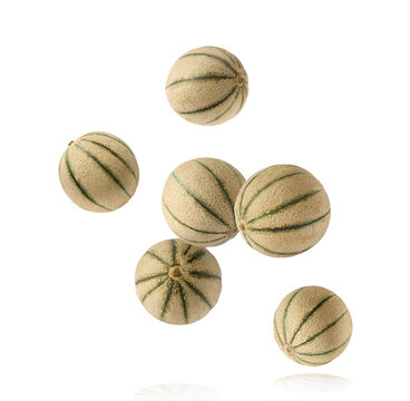 Flying fresh raw ripe cantaloupe melon isolated on a white background. Floating summer fruit concept