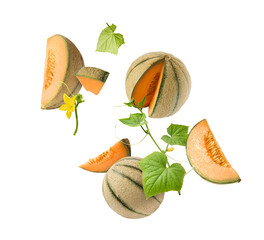 Naklejka premium Flying fresh raw ripe cantaloupe melon isolated on a white background. Floating summer fruit concept