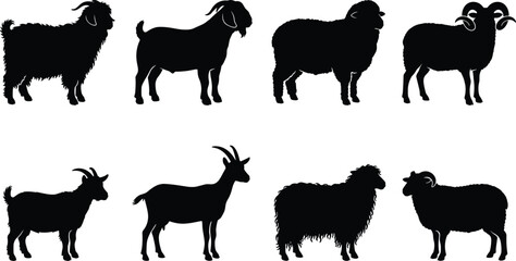 Farm Animal Goat and Sheep Silhouette Icon Set © Khadija