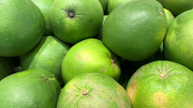 Large, fresh pomelos, clean and of premium quality. A stack of pomelos.