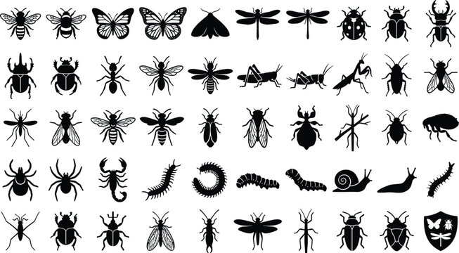 Insect Silhouette Icon Set with Butterfly, Bee, Beetle, Spider, and Bug Symbols for Nature Educational Websites, Pest Control Branding, and Biology Biology Digital Designs