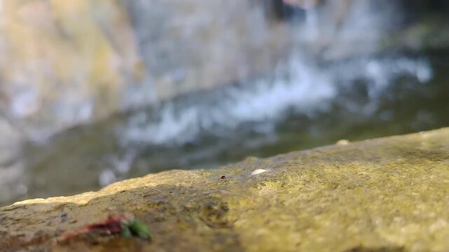 Water Droplets Splashing into Natural Rock Pool Close Up