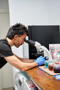 Veterinarian doctor examining sample with microscope in laboratory