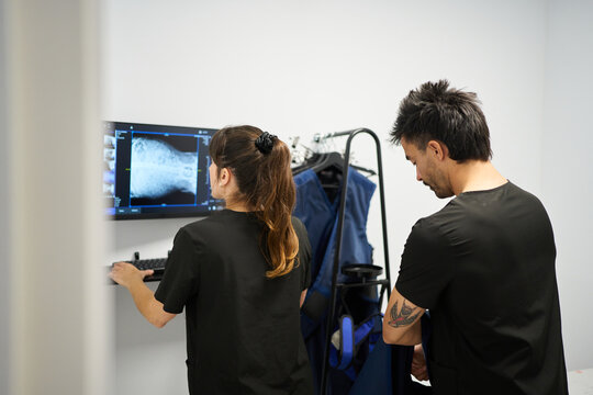 Veterinarians examining pet X ray for diagnostic procedure
