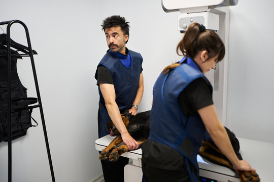 Veterinarians preparing dog for X ray examination