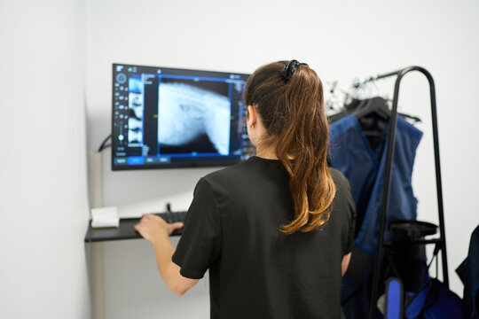 Veterinarian working on computer analyzing animal x ray