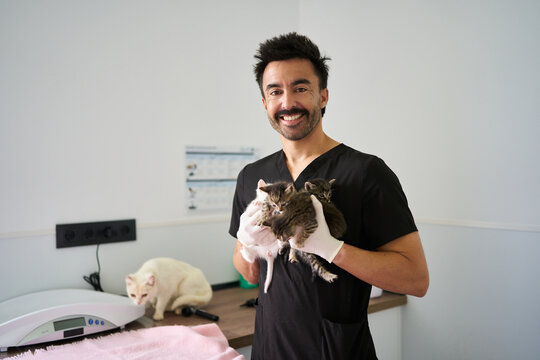 Male veterinarian holding kittens for veterinary care in clinic